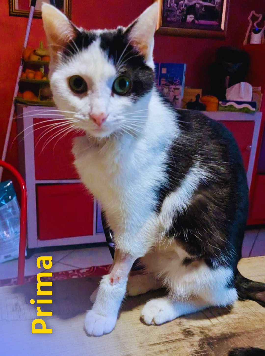 1 Rd6vjsup2f2uvjfkqhb34l8fvd9qx38vbo3a2p636s