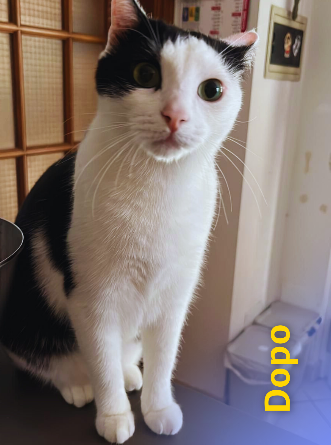 2 1 Rd6vq3dsthoylkaizp86bi2j1897g586itbaqdu7j8