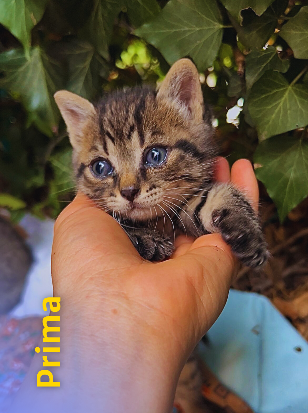 5 Rd6vjazrgkeeqy5imrl6b7qol1pruu9yx7p1yfwkh0