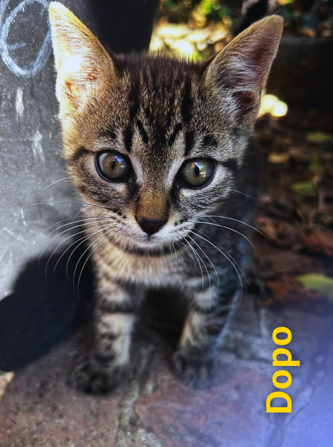 6 1 Rd6vqcs6pu1ttnwvgtag0fp4z2yvl49hw3u5j5g9t0