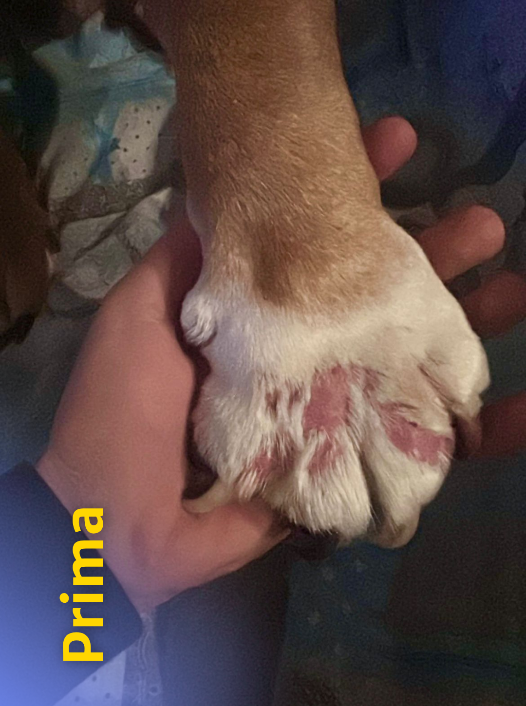 7 Rd6vjjgb62pznft89d8tfnltxik2s47jydkf9xk0x0