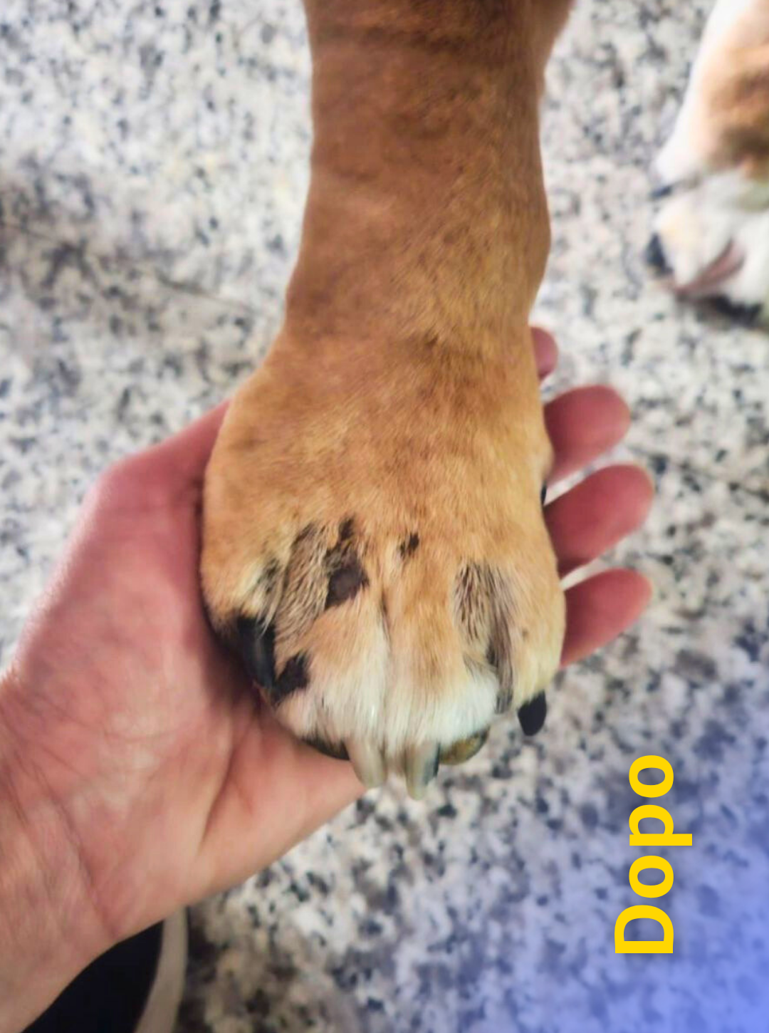 8 1 Rd6vqhhdo089fpq1pdbkuwify0bpnls5kr3kxj9axw